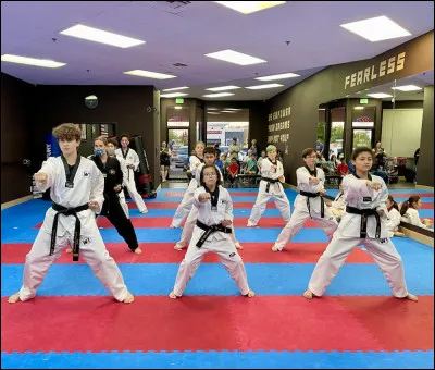 Qui a cr&eacute;&eacute; le taekwondo ?