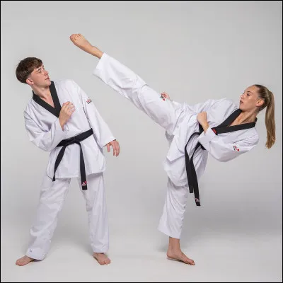 Comment appelle-t-on la tenue de taekwondo ?