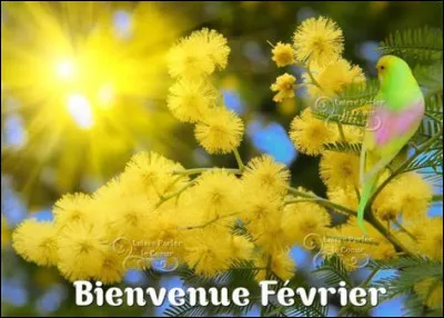 Vianney aime bien les histoires drôles, combien lui en faut-il pour le faire rire dans sa "chanson d'hiver" ?