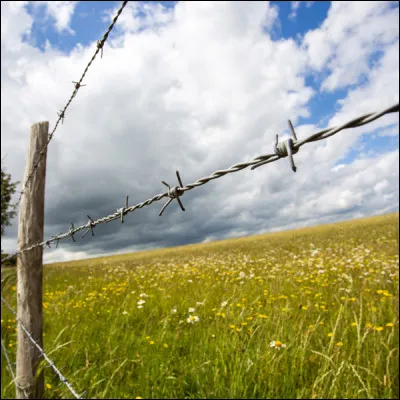 Sur une musique de Laurent Voulzy et des paroles d'Alain Souchon, voici "La fille d'avril". Quel proverbe applique-t-elle ?