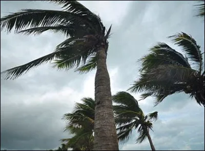 Vincent Delerm nous signale les "bruits des nuits d'été". Où ont disparu
les choses de la vie d'avant ?
