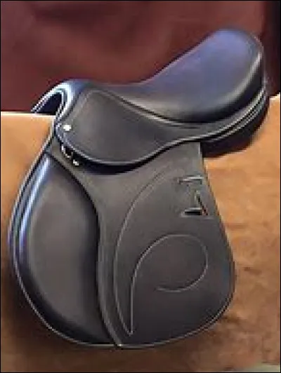 On appelle la partie de la selle en cuir en-dessous des étriers mais au-dessus de la sangle...