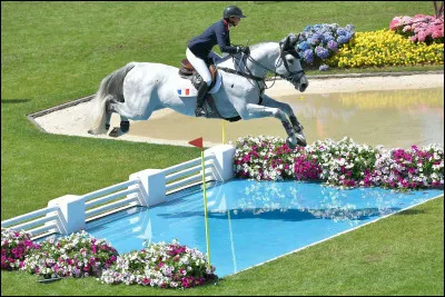 Une grande championne détentrice de sa propre marque de tapis de selle et autres...