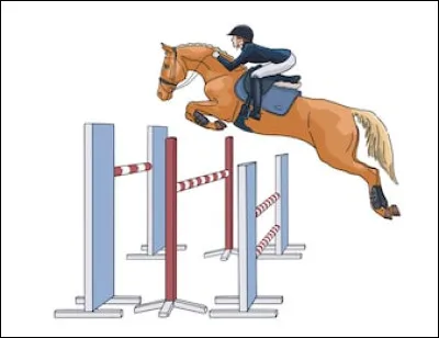 Pour finir, une facile : comment s'appelle ce genre d'obstacle ?