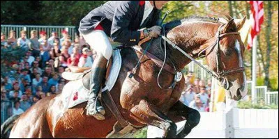 Les disciplines maintenant. Quelle est cette discipline accordant CSO et cross ?