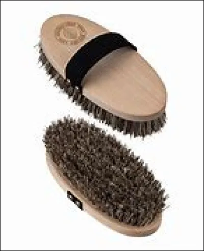 Quel outil nous n'utilisons pas pour brosser notre cheval ?