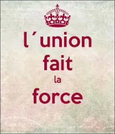 De quel pays "L'Union fait la force" est-elle la devise ?