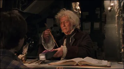 ''Harry Potter à l'école des sorciers'' (premier film) : 
Quel animal en particulier a fourni une partie de lui à la baguette de Harry ?