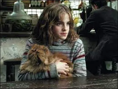 ''Harry Potter et le Prisonnier d'Azkaban'' (troisième film) : 
Quel est le nom du chat de Hermione ?
