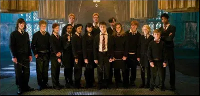 ''Harry Potter et l'Ordre du Phénix'' (cinquième film) : 
Qu'est-ce que l'A.D ?