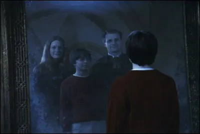''Harry Potter à l'école des sorciers'' (premier film) : 
Que dit voir Albus Dumbledore devant le Miroir du Riséd ?