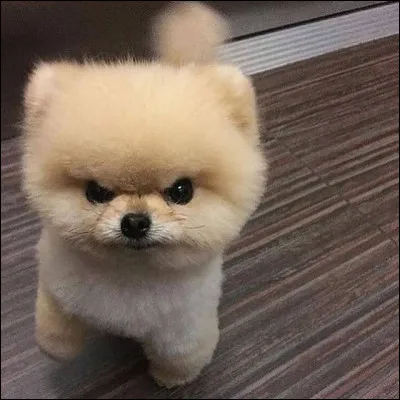 Tes amis t'invitent à une fête, est-ce que tu y vas ?