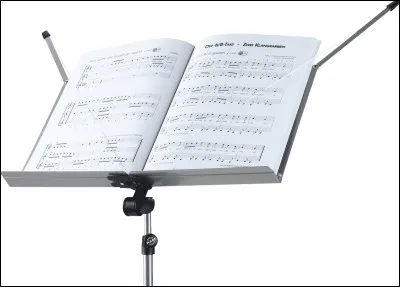 Qui chante la chanson "Wonderwall" ?