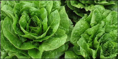 Etre ...comme la ... !