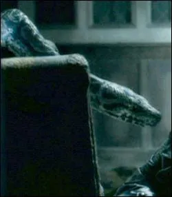 Comment s'appelle le serpent de Voldemort ?