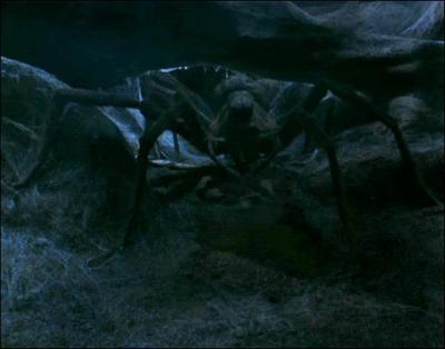 Comment s'appelle l'Araignée que Hagrid à recueilli lors de sa troisième ànnée à Poudlard ?