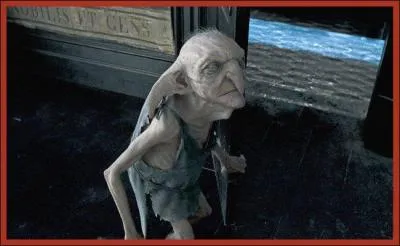 Comment s'appelle l'elfe de maison qui habite au 12 square Grimmaud ?