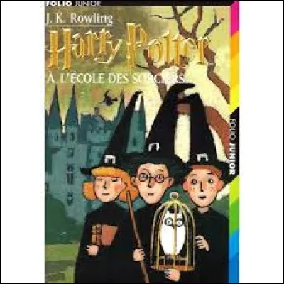 Connais-tu le livre ''Harry Potter'' ?