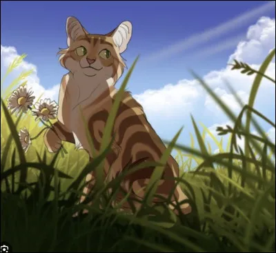 Qui est le frère/sur de Nuage de Jais ?