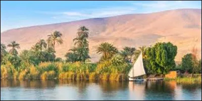 Avec un cours de plus de 6 700 km, le Nil est le plus grand fleuve d'Afrique. Il traverse onze pays. Parmi ces trois pays, dans lequel ne coule-t-il pas ?