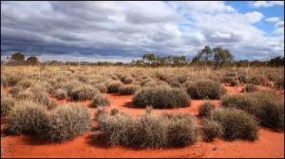 S'étalant, d'est en ouest, sur 700 km de large et couvrant une superficie de 424 400 km², quel est le nom de ce désert Australien qui se situe à cheval sur l'Australie-Occidentale et l'Australie-Méridionale ?