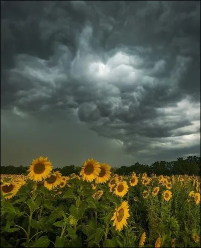 Quelle température préfères-tu ?