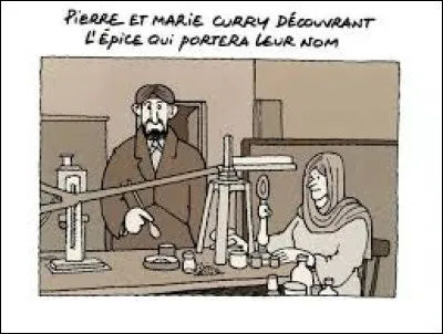 Pierre et Marie Curie ont découvert le curry.