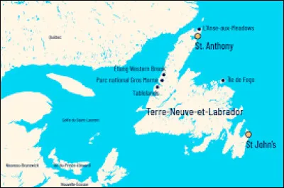 TERRE-NEUVE - Avec quelle r&eacute;gion continentale cette grande &icirc;le forme-t-elle une province toute "canine" ?