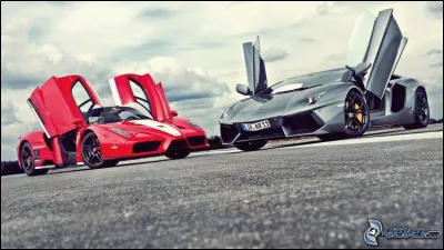 Qui ne finit pas les 24 h du Mans ?