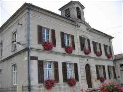Nous partons maintenant en Lorraine, à Broussey-Raulecourt. Village de l'arrondissement de Commercy, il se situe dans le département ...