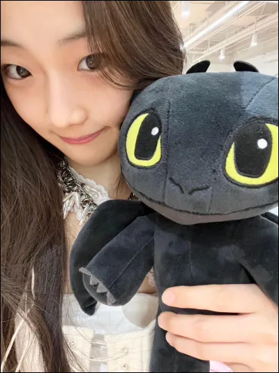 Quel travail aurait aimé faire Ruka si elle n'était pas devenue idol ?