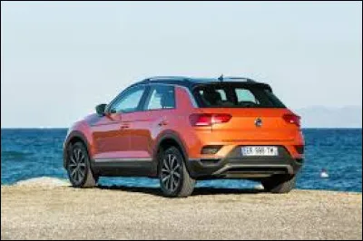 Celui-ci est un / une ...