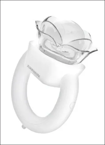 A quel groupe appartient ce lightstick ?