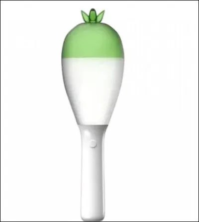 A quel groupe appartient ce lightstick ?