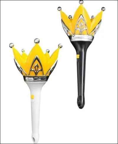 A quel groupe appartient ce lightstick ?