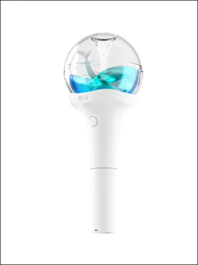 A quel groupe appartient ce lightstick ?