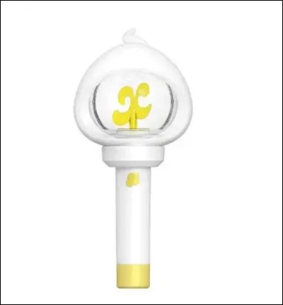 A quel groupe appartient ce lightstick ?