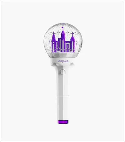 A quel groupe appartient ce lightstick ?
