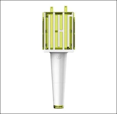 A quel groupe appartient ce lightstick ?