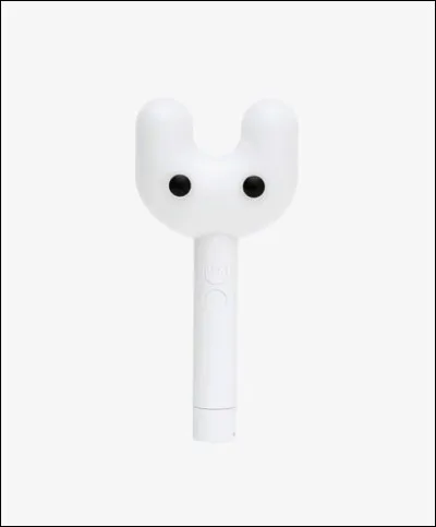 A quel groupe appartient ce lightstick ?