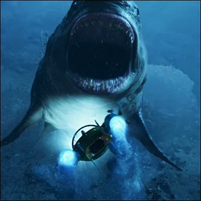 On retrouve cette image dans le film