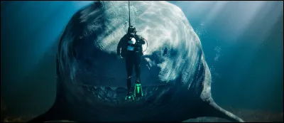 Cette image est tirée de