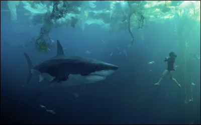 Celle-ci vient du film :