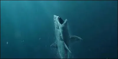 Cette image vient du film :