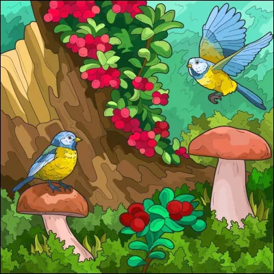 La nature s'éveille au printemps ! Que sont les marasmes des oréades ?