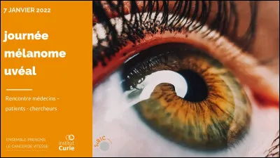 Quel est un vrai institut de beaut&eacute; ?