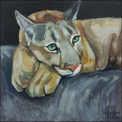 Comment est mort Long Croc ?