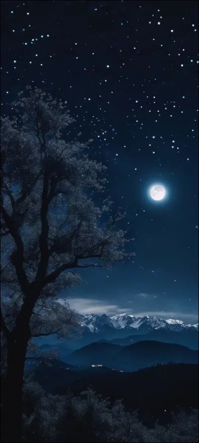 Quelle phrase te parle le plus ?