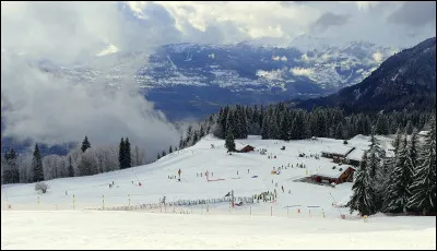 Les tracteurs agricoles Renault ont &eacute;t&eacute; rachet&eacute;s par la soci&eacute;t&eacute;...