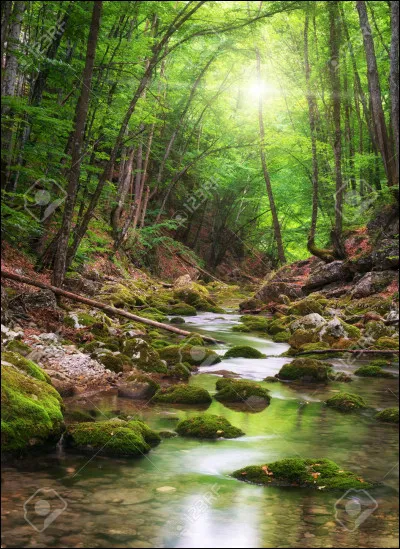 Pourquoi as-tu choisi la rivière ?